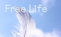 FreeLife